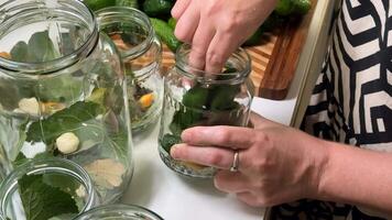 Caucasian woman preparing homemade pickles with cucumbers, garlic, and spices perfect for canning season, preserving, and culinary arts video