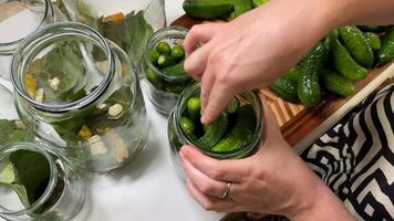 A person is preparing homemade pickles, showcasing traditional preservation techniques with cucumbers and spices The scene highlights culinary arts, sustainability, and the joy of cooking video