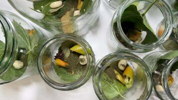 Glass jars with green leaves and seeds evoke themes of sustainability, gardening, and eco friendly practices ideal for Earth Day projects video