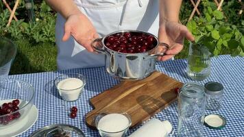 A person with light skin prepares fresh cherries for a summer picnic, featuring vintage tableware and rustic charm video