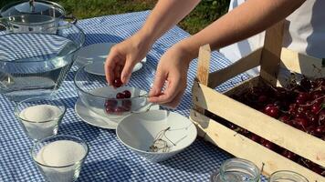 Hands of a Caucasian child preparing fresh cherries for a summer picnic, featuring rustic tableware and natural light video