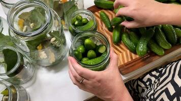 A person prepares homemade pickles with fresh cucumbers and herbs, showcasing food preservation, DIY projects, and culinary traditions video