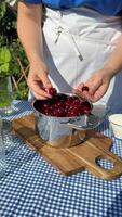 A person prepares fresh cherries on a sunny day, highlighting summer, culinary arts, and organic produce Caucasian adult apron rustic setting video