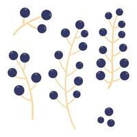 Bunch of blue berries, hand-drawn. Cosy autumn set. illustration. vector