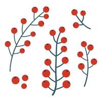 Bunch of red berries, hand-drawn. Cosy autumn set. illustration. vector