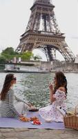 Two women picnic near Eiffel Tower on summer day video