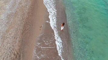 Top down aerial view of woman in white dress walking along shoreline with waves video