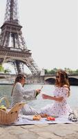 Women toasting champagne at Eiffel Tower picnic video