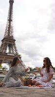 Women toast at picnic with Eiffel Tower view video