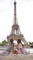 Women take selfie at picnic near Eiffel Tower video