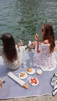 Top view of picnic with baguette and champagne video
