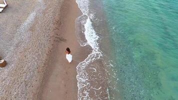 Aerial view of woman in white dress walking barefoot by tropical beach cabanas video