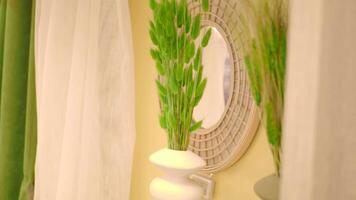 Decorative vase with green plants near round mirror video
