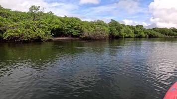 Going down the Jequia River and observing the Mangroves on the left near Dunas de Marape Brazil video