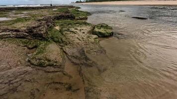 The Jequia River at low tide that flow into the Atlantic ocean in Dunas de Marape Brazil video