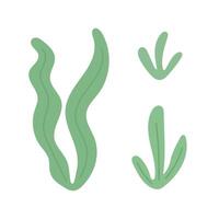 Minimal seaweed and kelp leaves in flowing green underwater shapes, great for ocean foliage illustrations, sea life backgrounds, and ecological marine scenes vector