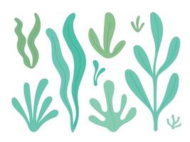 Seaweed collection with flowing green kelp and underwater leaves offers a clean ocean foliage design for marine themes or eco graphics vector