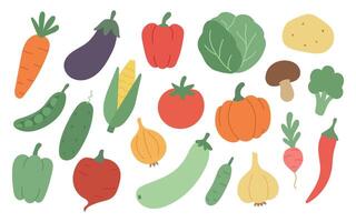Collection of colorful vegetables vector