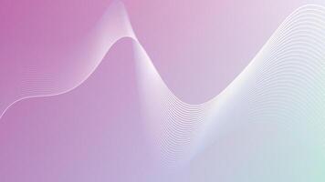 Abstract blue and pink gradient background with white smooth waves lines vector