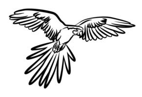 the Flying parrot. vector