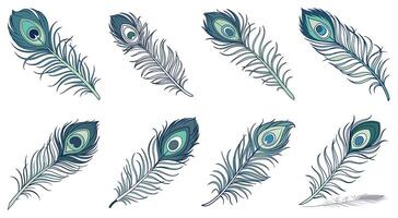 Seamless Pattern of Vibrant Peacock Feathers for Ethnic Background Design vector