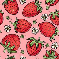 Colorful strawberries on a pink background vector