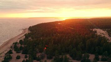 Sunset over the tranquil coastal forest at twilight video