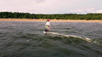 Windsurfing adventure on a serene lake in summer video
