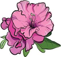 Single blooming pink azalea flower with green leaves vector