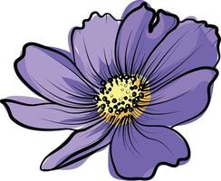 Violet cosmos flower hand drawn in sketch style vector