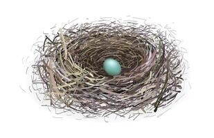 Nest with blue egg vector