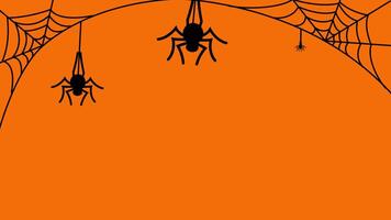 Halloween black spiders hanging from webs on white background. 2d animation. 4k stock footage video