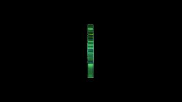 3D green flower with leaves isolated on black background video