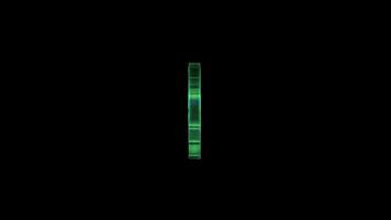 Green fuchsia flower silhouette with dark background video