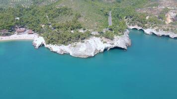 Stunning Drone Flight Over Gargano Wild Coastline video