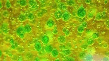 Bubbles form as acid reacts with baking soda experiment video