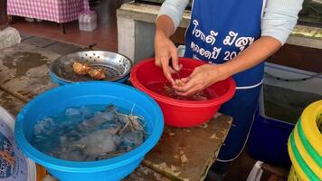 Person cleaning and sorting shrimp at a market video