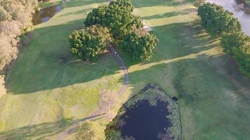 Drone footage captures lush green fairways, trees and water hazards on a Gold Coast golf course during golden sunset hour video