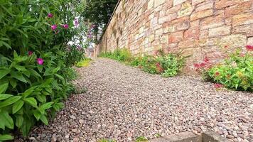 A scenic stone path lined with vibrant flowers video