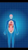 Animation illustrating the human digestive system, highlighting the intestines with a zoom effect on a blue grid background video