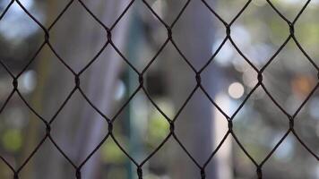 Blurred view through a zoo fence video