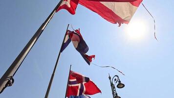 Flags of various countries waving under the sun video