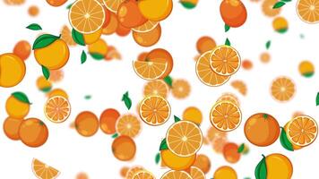 Oranges and slices falling on white background video