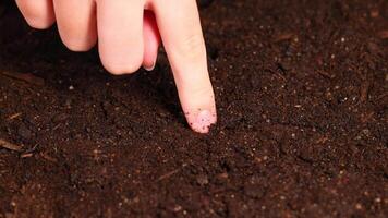 A hand gently pokes a hole in moist soil, preparing for seed planting. Close-up view with warm lighting video