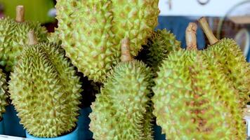 Fresh durians displayed at a floating market video