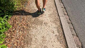 Person walking on a sunlit cobblestone path video