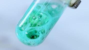 A chemical reaction producing bubbles in a test tube video