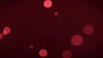 Passionate red tone abstract background with dreamy floating particles video