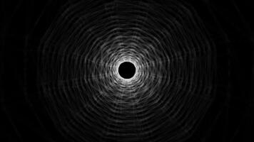 A black and white image of a spider web video