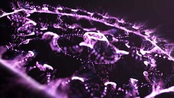 A purple and black background with a lot of lights video